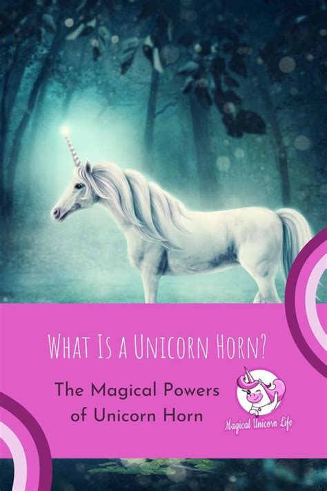 Unicorn Spirituality: Exploring the Spiritual Symbolism of Unicorns